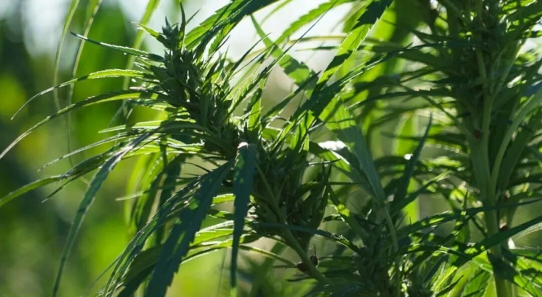 环保与未来丨TTK涂泰克®8.1馆C58 带来新的打开方式