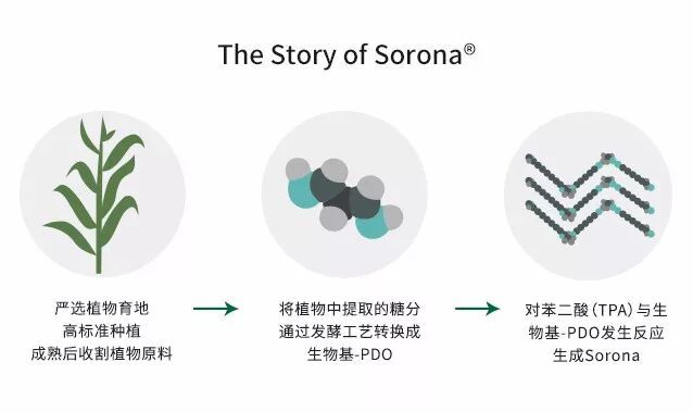 TTK®涂泰克×杜邦™SORONA®×ECOMATE,将时尚与环保进行到底!