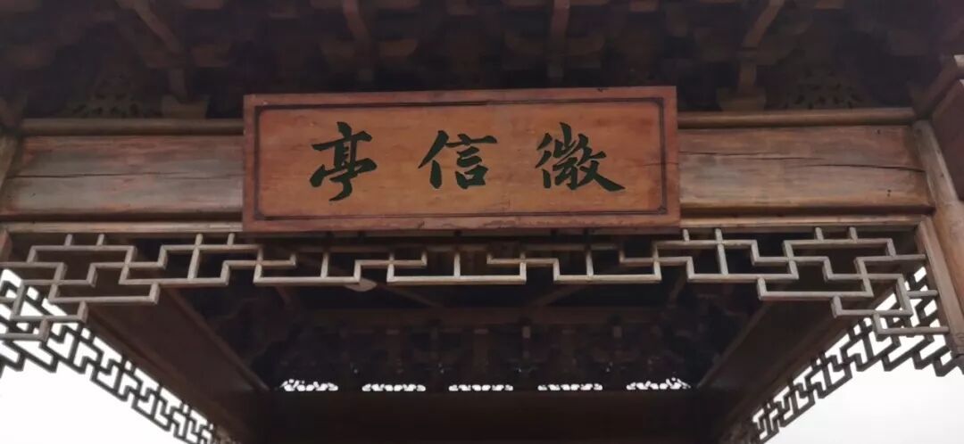 TTK涂泰克|贸易部仙居拓展游—永远年轻,永远热血沸腾!