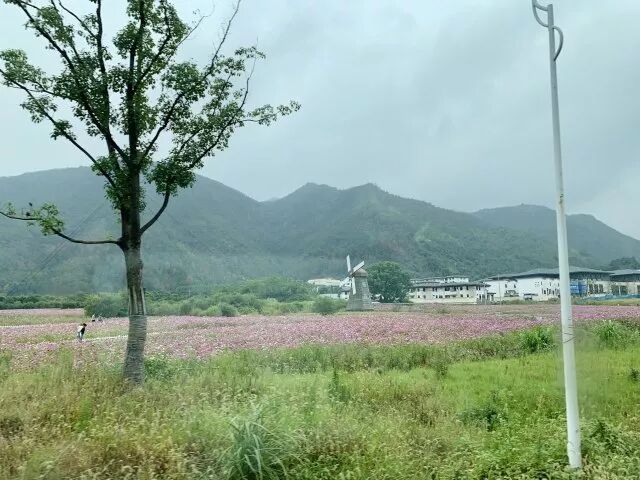 TTK涂泰克|贸易部仙居拓展游—永远年轻,永远热血沸腾!