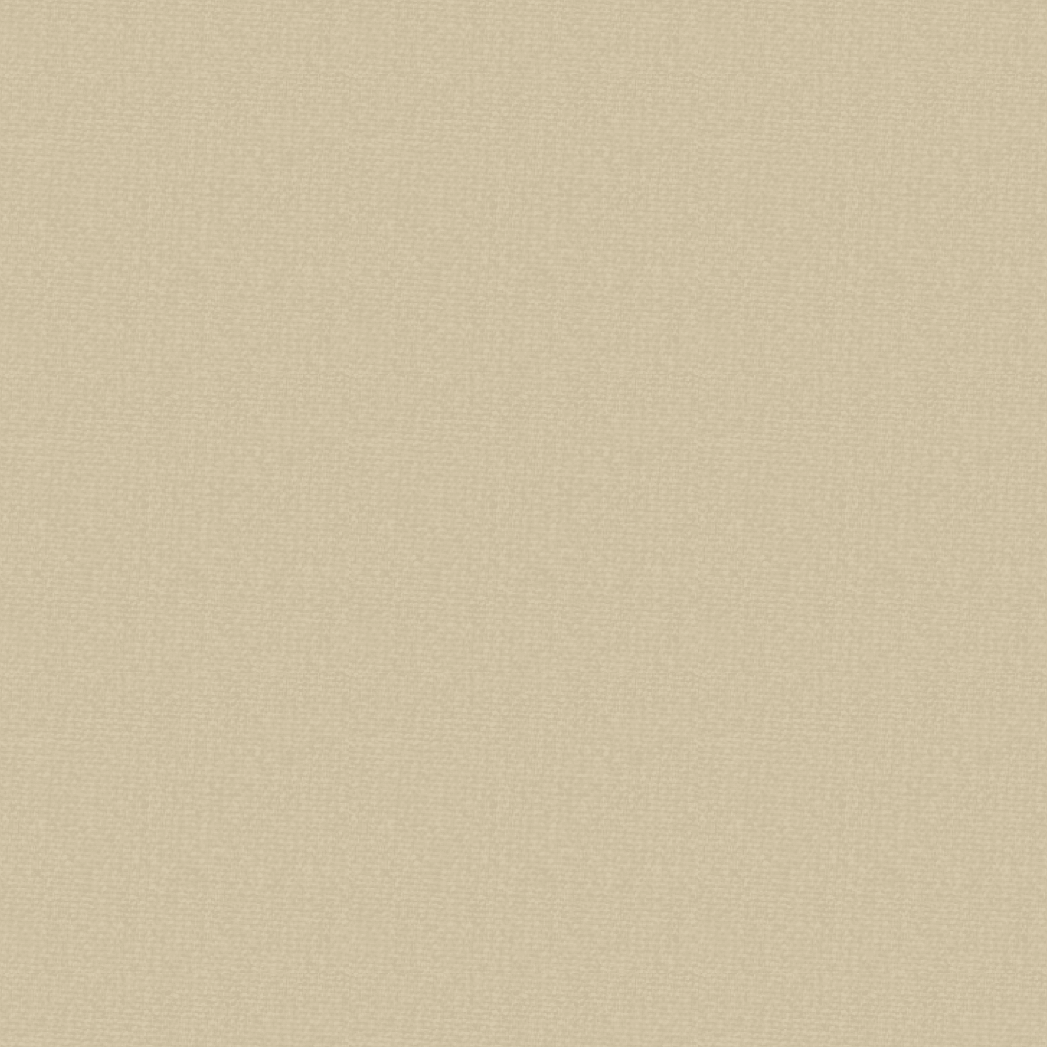 N66-20D Weft Stretch Plain Taffeta