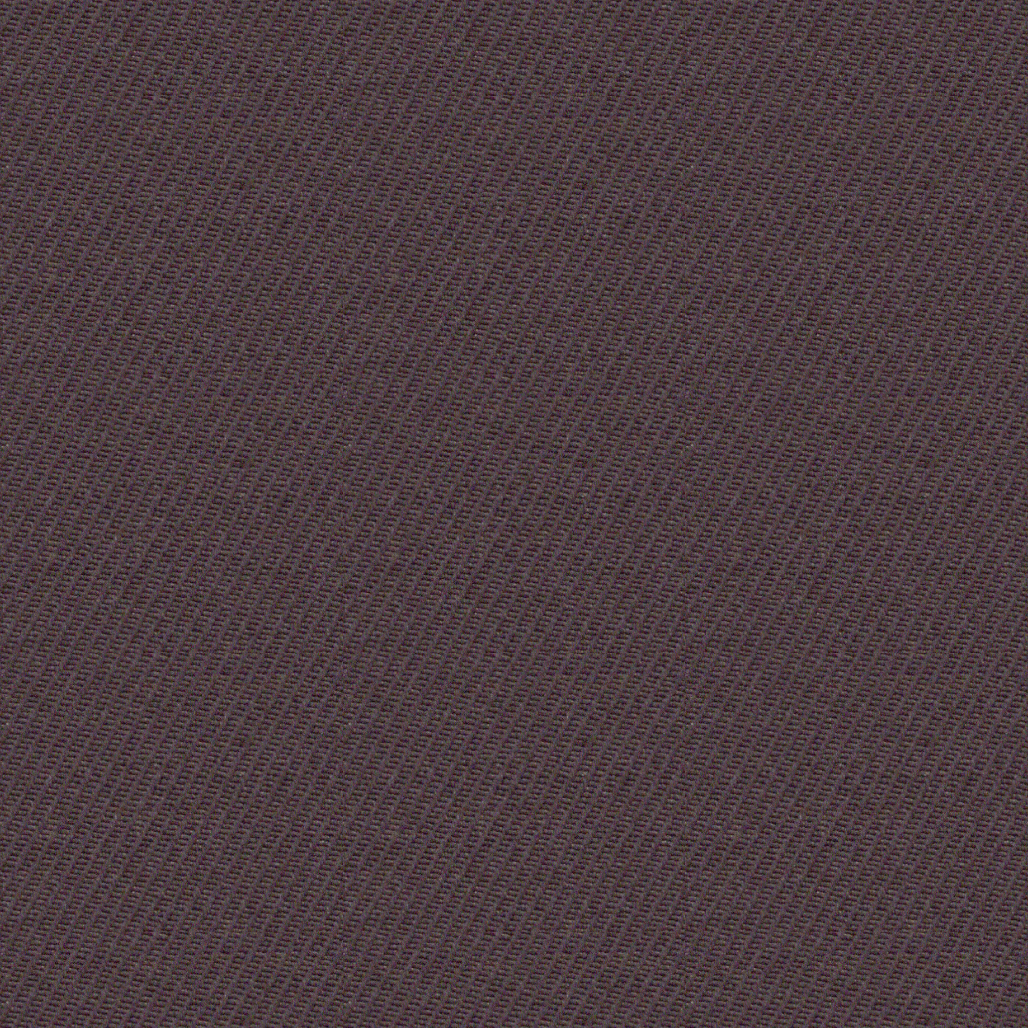 Wool （）