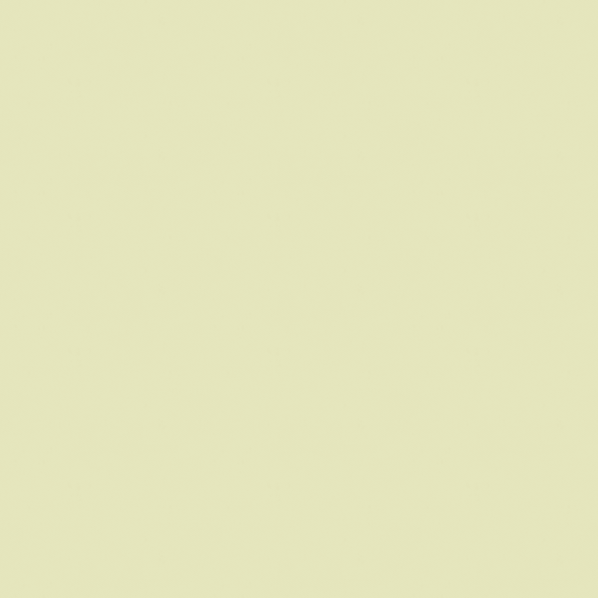 Z- Fine Twill
