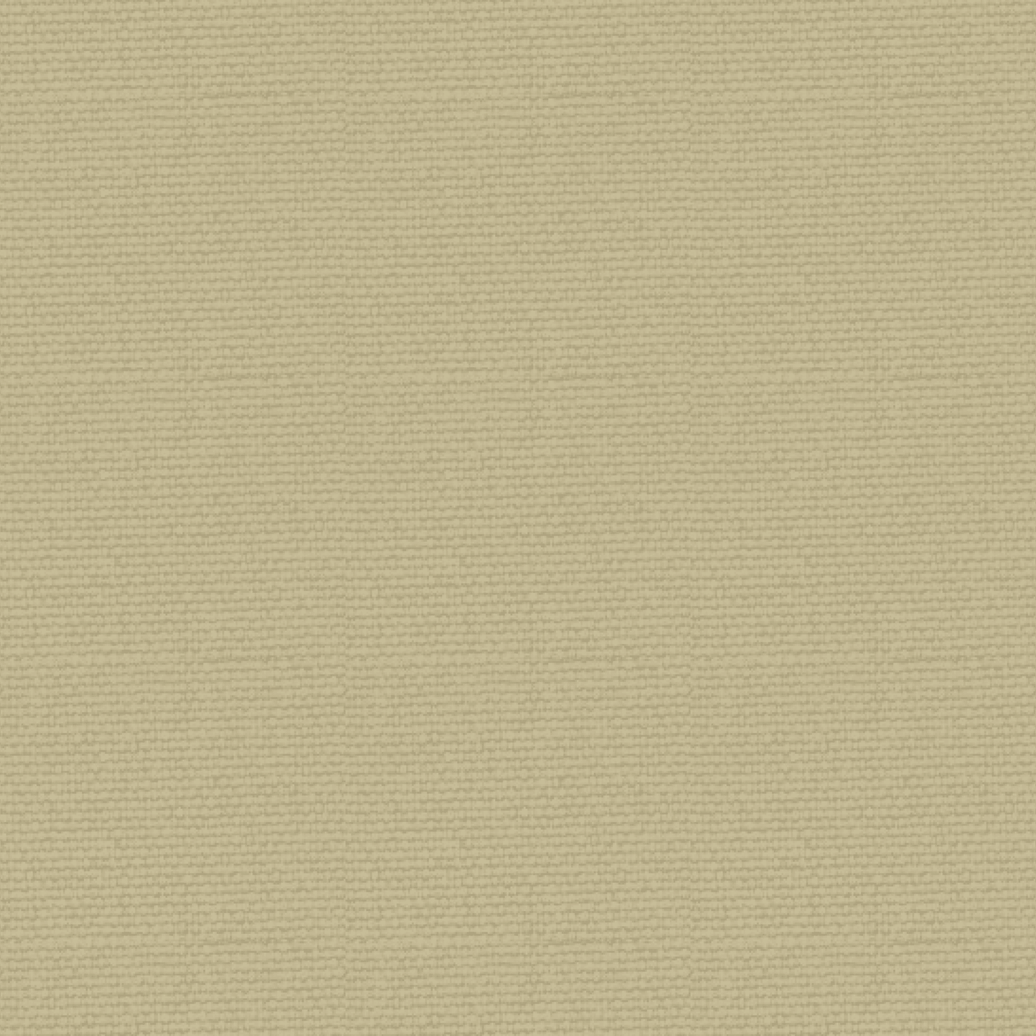 40DN66 SD Plain