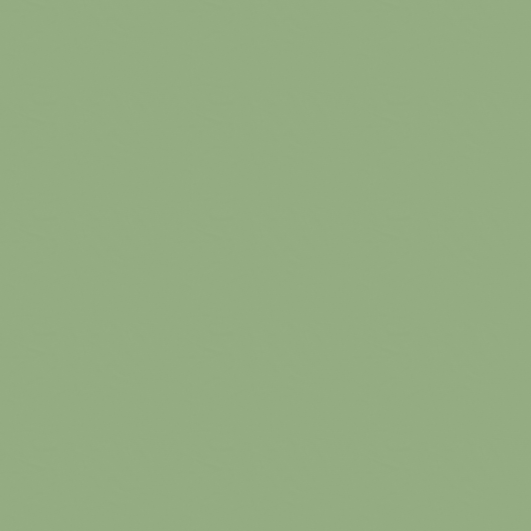 40DN66 SD Plain