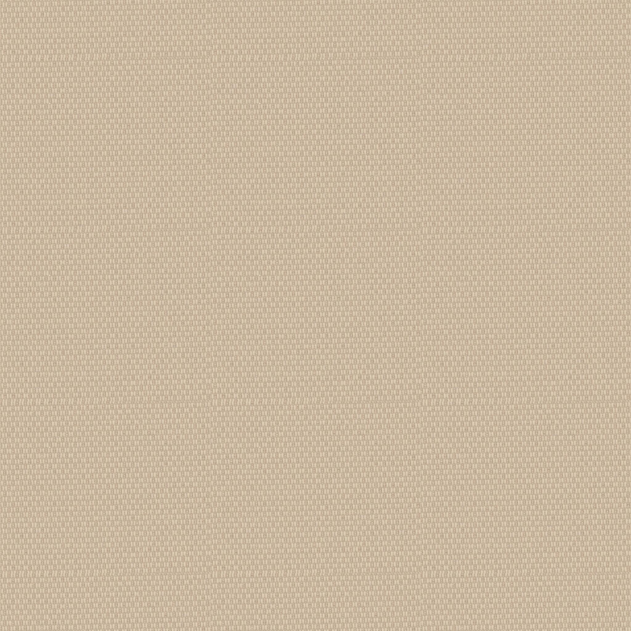 75D T66 Canvas （）