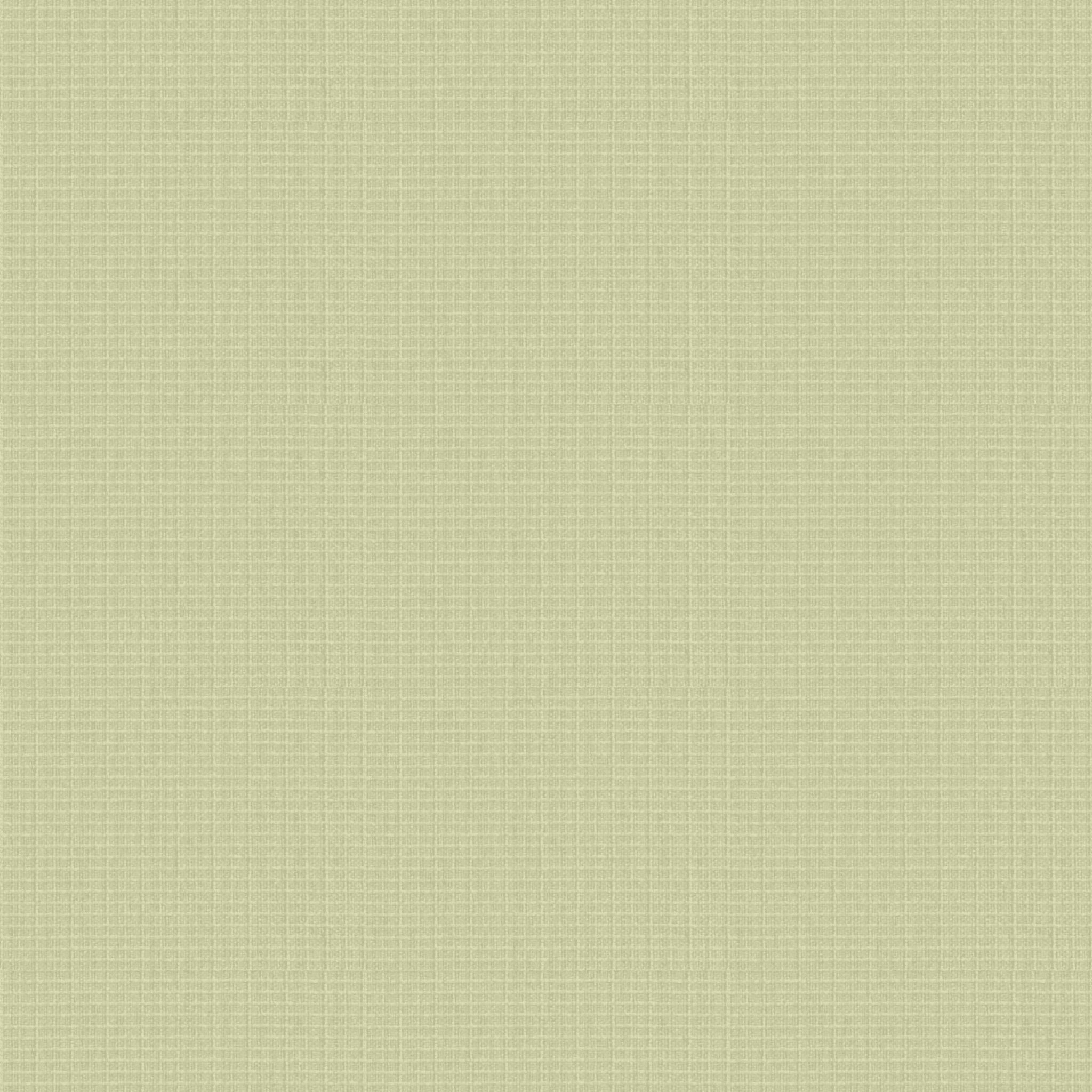 Yarn （ Eco ）