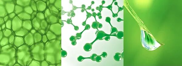 安全与环保并存：TTK涂泰克®用生物基无氟科技重新定义冲锋衣未来