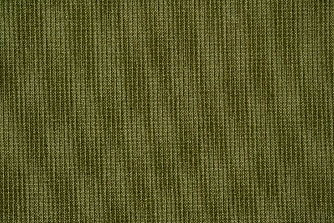 TTK2024【龙行龘龘，前程朤朤】
