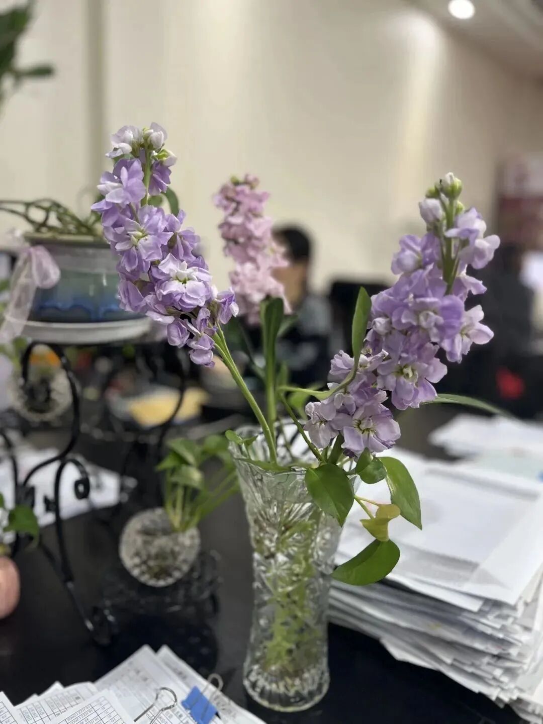 女神节快乐丨阳春三月天 温暖女神节