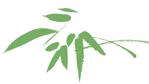 TTK涂泰克®端午专属礼丨浓情端午，粽香安康
