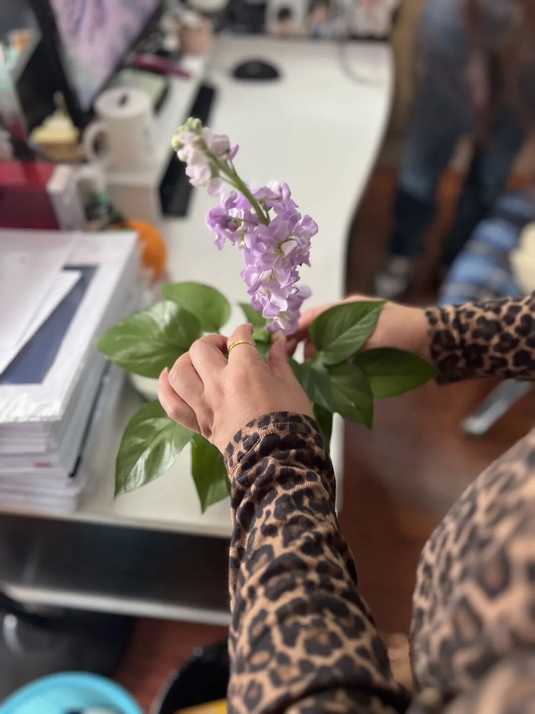 女神节快乐丨阳春三月天 温暖女神节