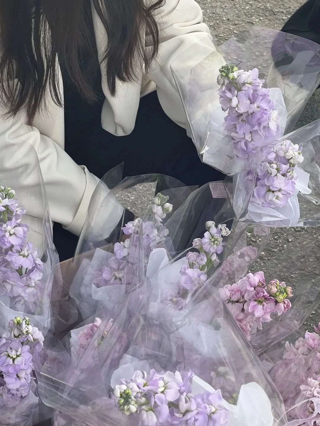 女神节快乐丨阳春三月天 温暖女神节