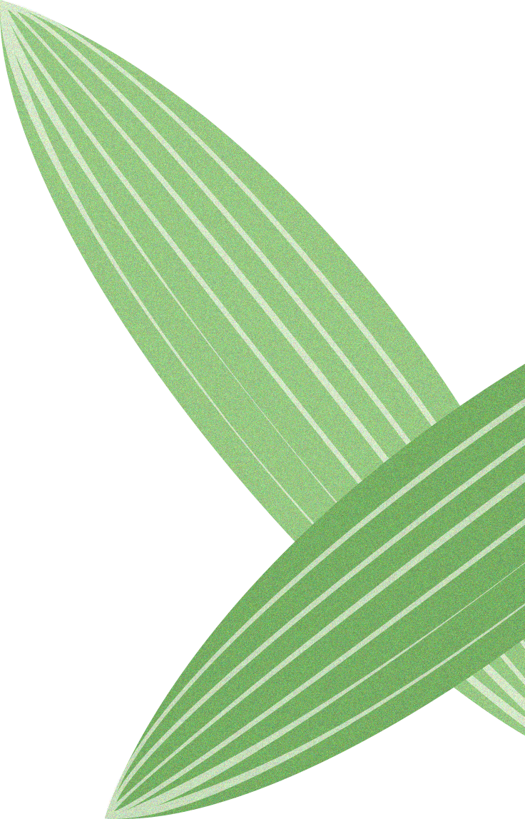 TTK涂泰克®端午专属礼丨浓情端午，粽香安康