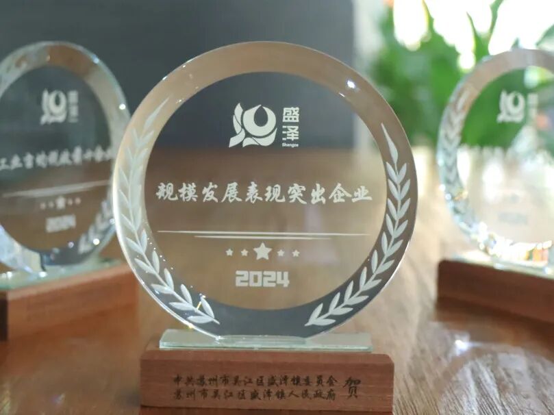 TTK涂泰克®荣获盛泽镇三项2024年度重磅奖项！